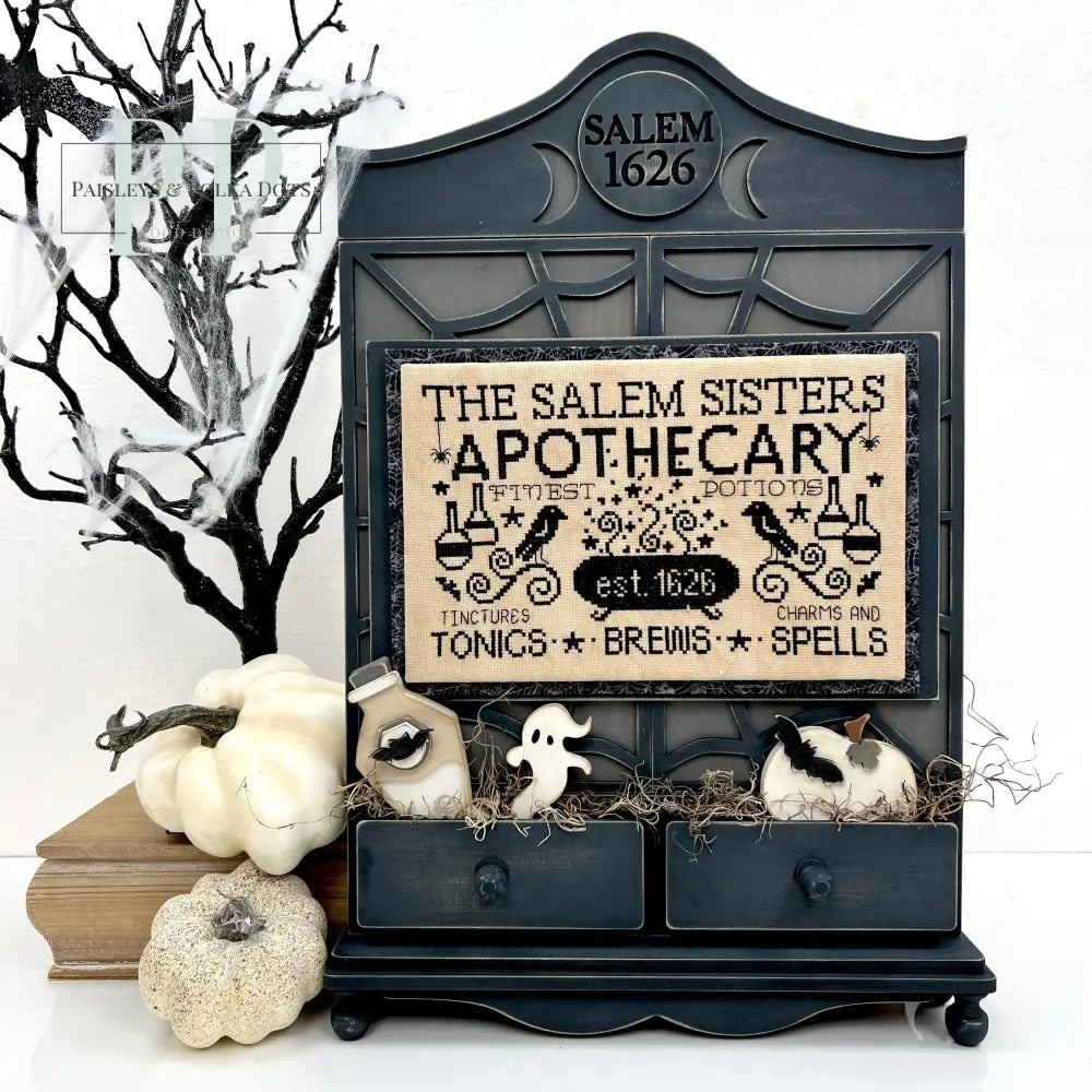 Apothecary Cabinet Cross Stitch Display-Unfinished Wood - Paisleys